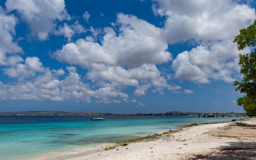 Kostaryka Luty – 5594 zł