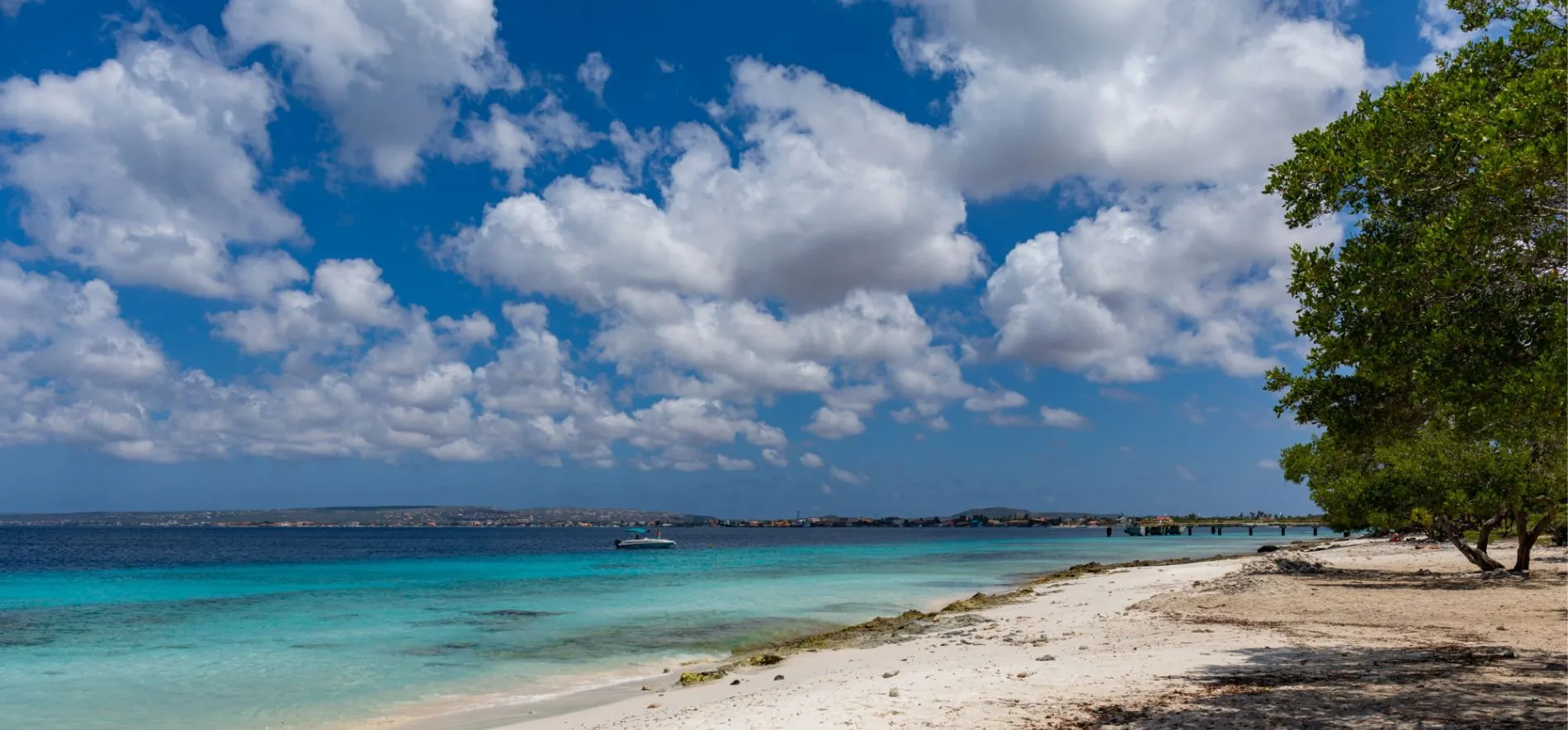 Dzika plaża w Kostaryce