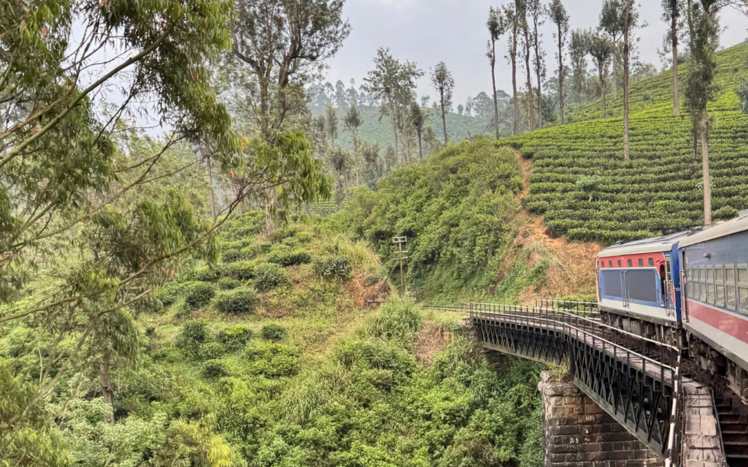 Sri lanka – ferie zimowe LUTY od&nbsp;4423 zł