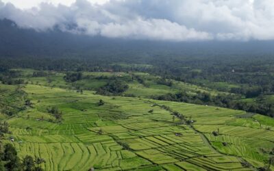 Bali na własną rękę w 2025 – ile kosztuje 2 tygodniowy wyjazd?